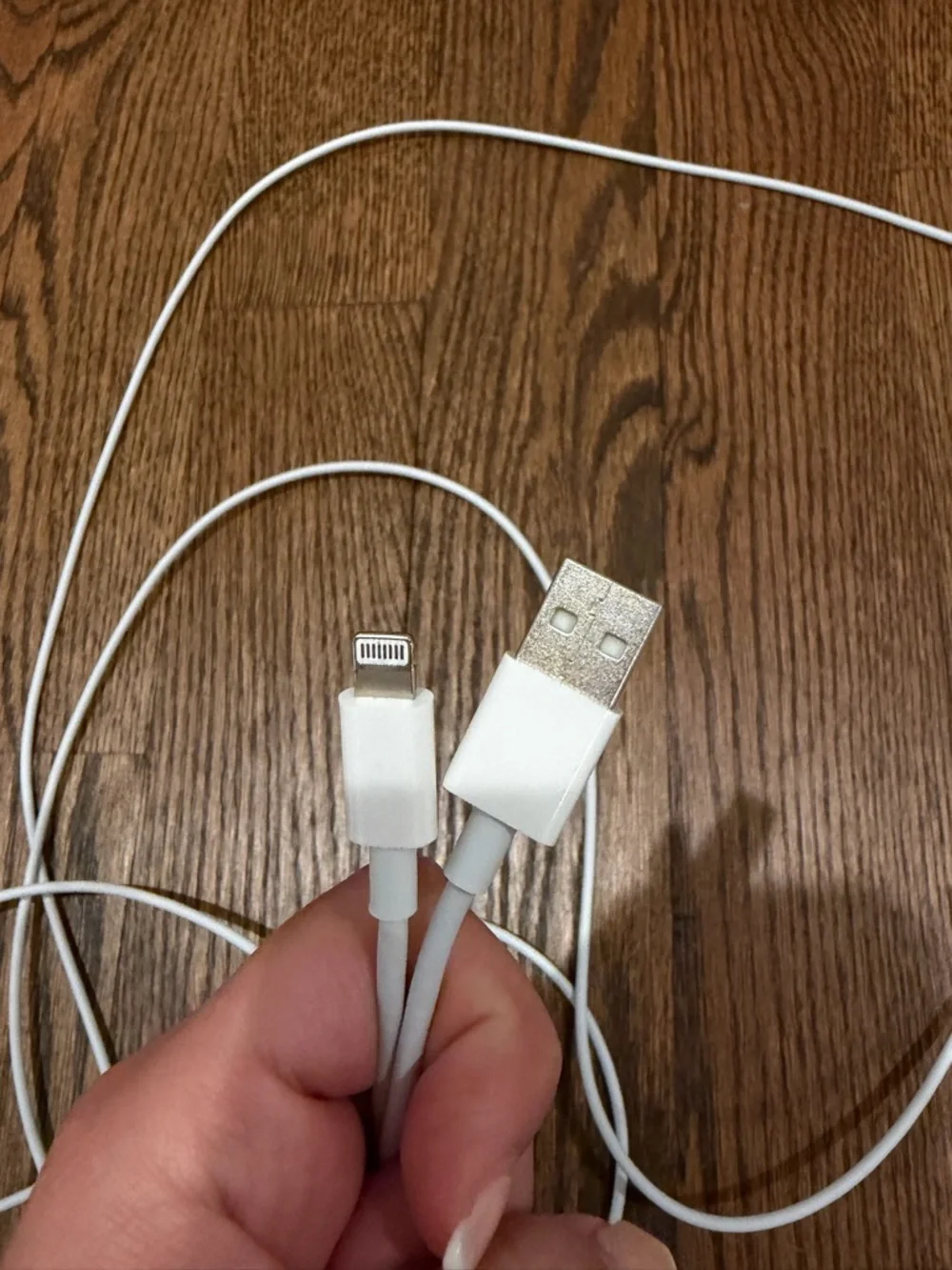 iPhone 10 ft Charger USB